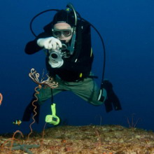    (James Davis Reimer)