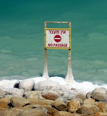 ������� ����