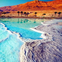 ������������ ������