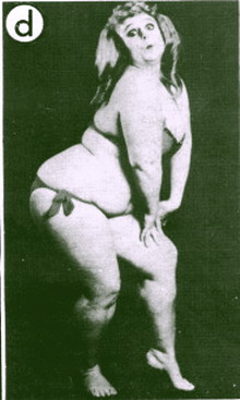 ����� ���������� ������