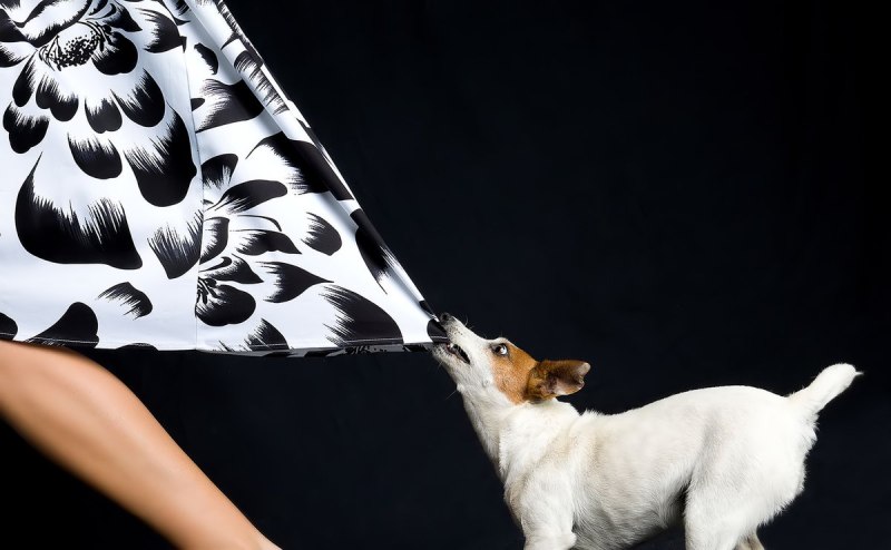 ���� ����� ������� ���� � ����