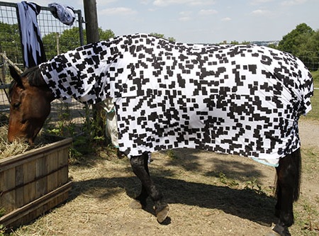 ������������� �����-����� ��������� �����