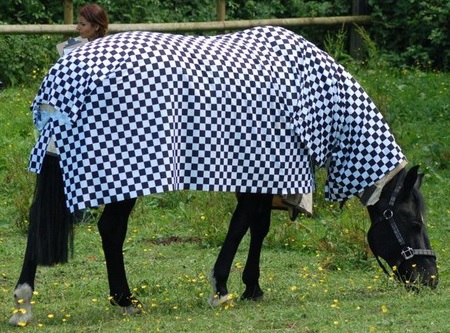 ������� �����-����� ��������� �����