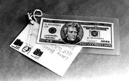 ������������ ������