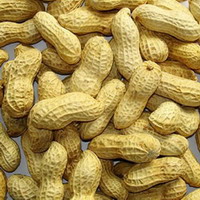 ������������ ������