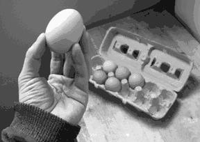 ������������ ������