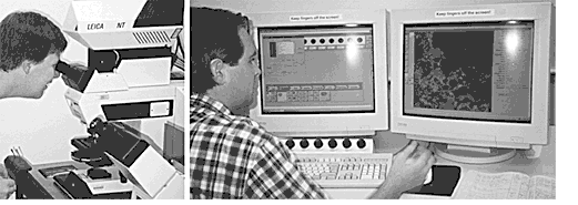 ������������ ������