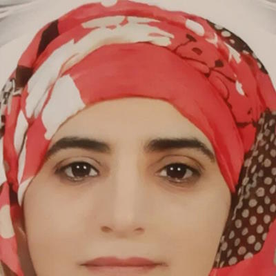 ������ �. ������ (Hamida Mirwan)