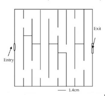 �������� �� 9 ����� (�������)