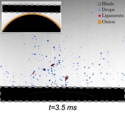 ���������������� ������������ ������