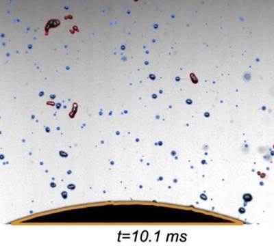 ���������������� ������������ ������