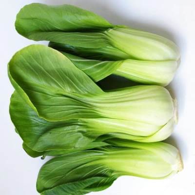 ������������ ������