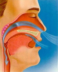 ������������ ������