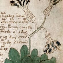 ������������ �������