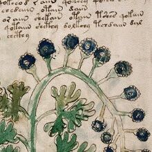 �� ��������� ��������