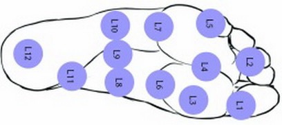 �������� ���������� ������ ���� L9