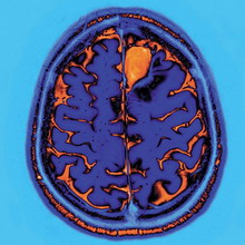 ������������ ������