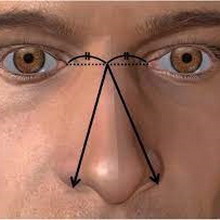 ������������ ������