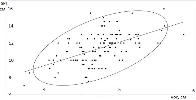 ������� ���, ������� �����