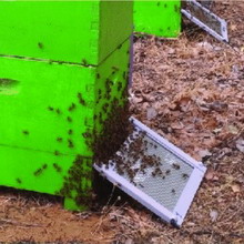 ������������ ������