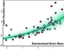 ������������ ������