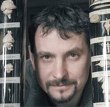 ����� �����