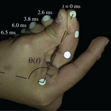 ������������ ������