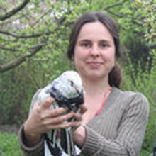 ��� ������� (Eva Landova)