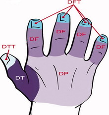 ������������ ������