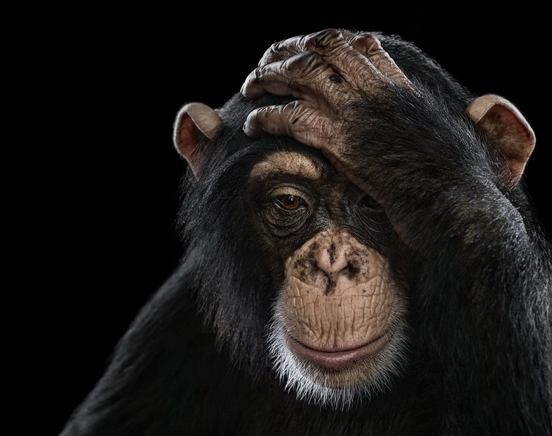 �������� ����������� ��������