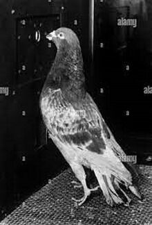 ������������ ������ 2024