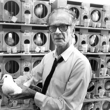 ������������ ������ 2024