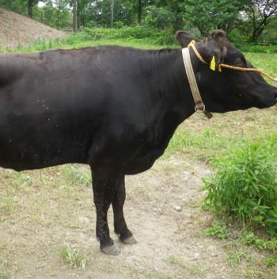 ������ �������� ������ ������