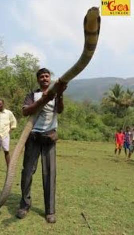 ����� ����� (Amrut Singh)