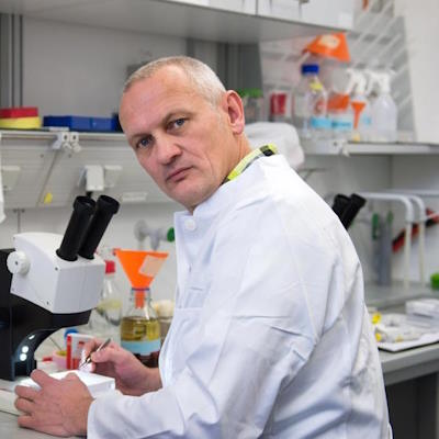 �������� ������ �������� �� ��������