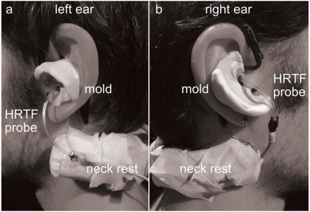 ����� ��������