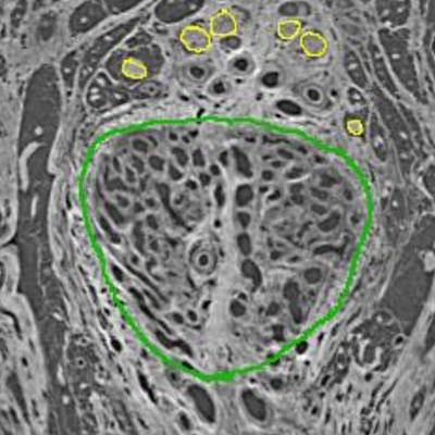 ������������� �������