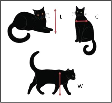 ������� �����