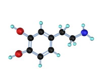 Ig Nobel ����