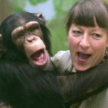 ���� ����� ������