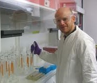 ������ ������