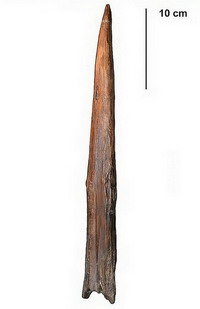 ������������ �����